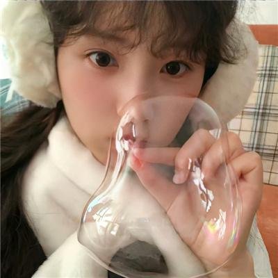 三只流浪狗
