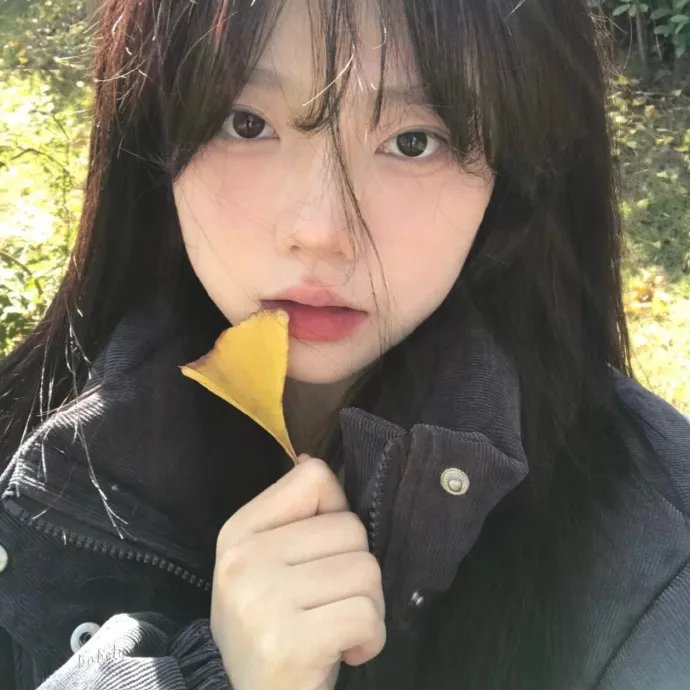 国子监来了个女弟子